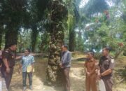 KEPALA KEJAKSAAN NEGERI ACEH SINGKIL MENERBITKAN SURAT KETETAPAN PENGHENTIAN PENUNTUTAN (SKP2) BERDASARKAN KEADILAN RESTORATIF (RESTORATIVE JUSTICE) KEPADA TERSANGKA A.N SUKATNO Bin Alm. DIMIN MELAKUKAN TINDAK PIDANA PENADAHAN  MELANGGAR PASAL 480 KE-1 KUHP